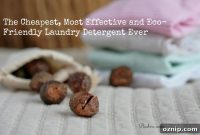 DIY Eco-Friendly Laundry Detergent with Soapnuts