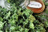 Dry Parsley: Dehydrator, Oven, Microwave & Air-Drying Guide
