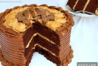 Decadent Peanut Butter and Chocolate Cake Recipe