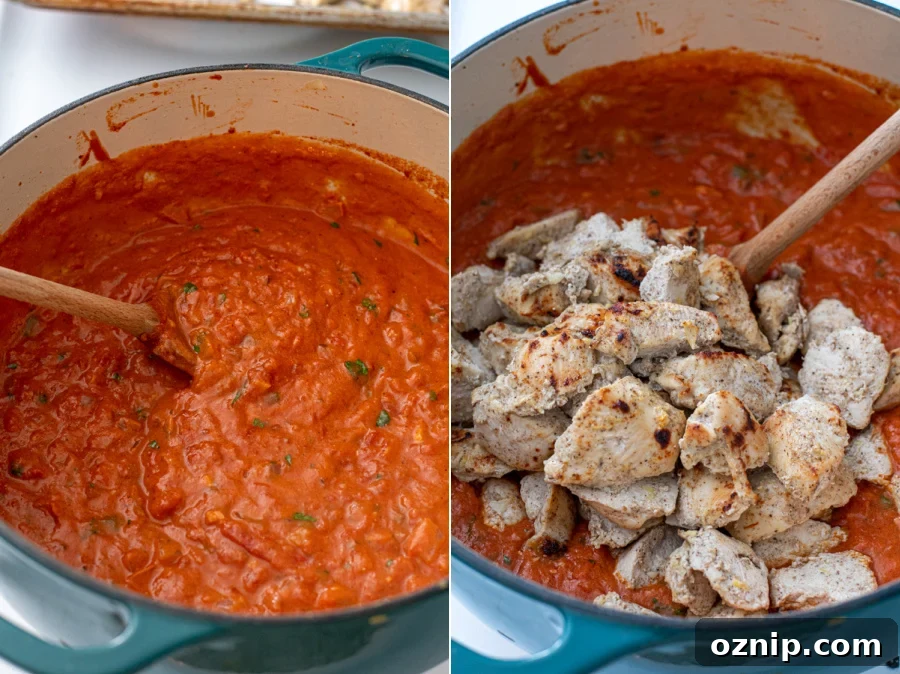 The finished sauce mixed together and the cooked chicken added on top.