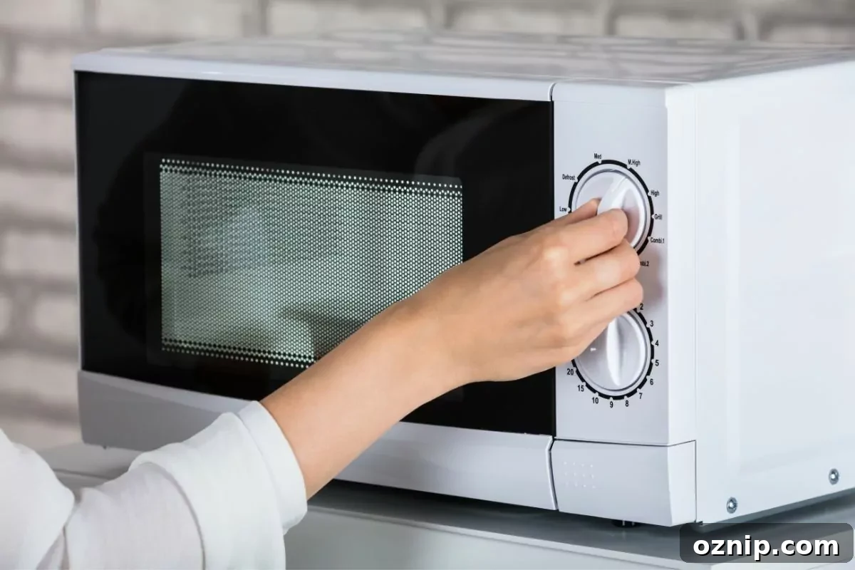 Best Air Fryer Microwave Combo