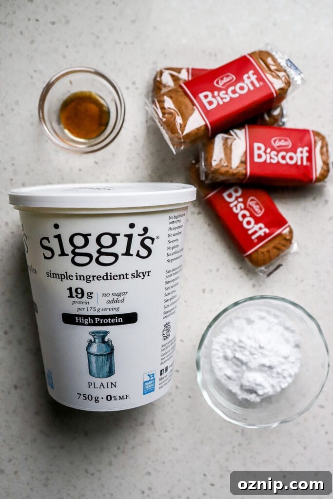 Top down view of a tub of yogurt, biscoff cookies, vanilla extract and powdered sugar.