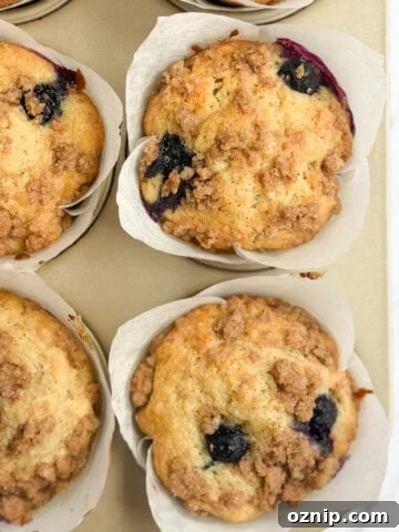 a closeup of a few blueberry peach muffins.