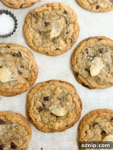 a bunch of chocolate chip potato chip cookies with a little salt on the side.