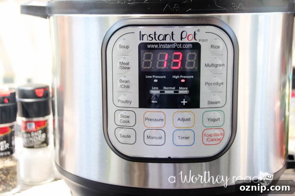 Instant Pot Oxtails with Vegetables and Jasmine Rice 3 Instant Pot recipe ideas