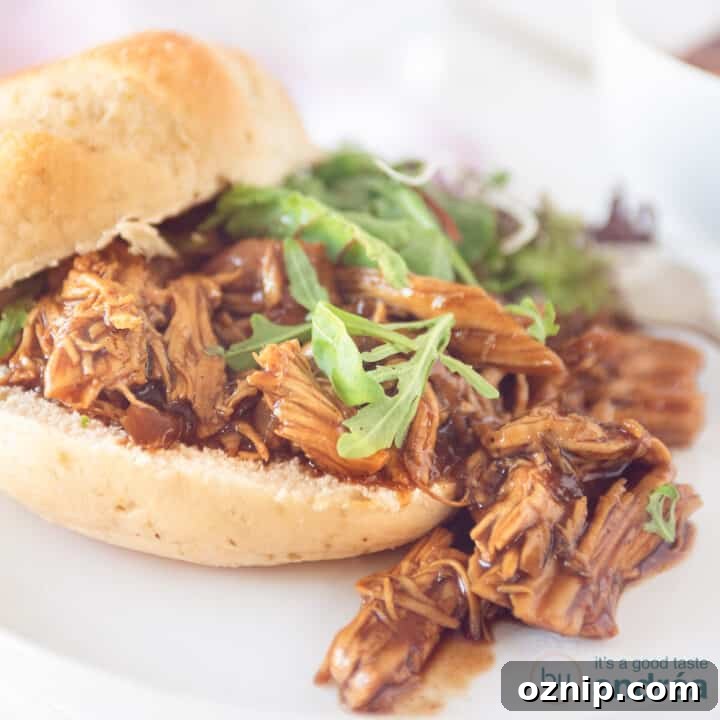 A square photo with a sandwich with pulled chicken and a salad. on a white background.