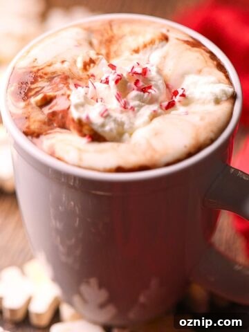 Peppermint hot chocolate in a white mug.