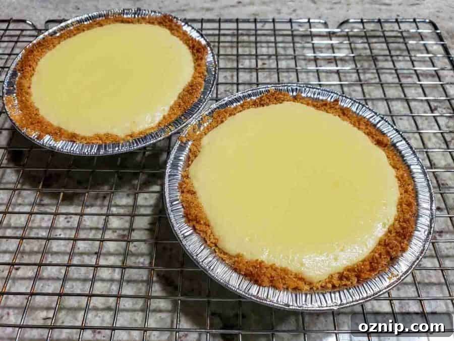 two mini key lime pies cooling on a wire rack.