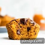 healthy flourless pumpkin muffins with chocolate chips, bite taken out of it