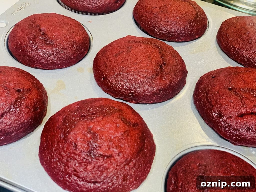 Red Velvet Cupcakes Made Nearly From Scratch 3 img 12433 2