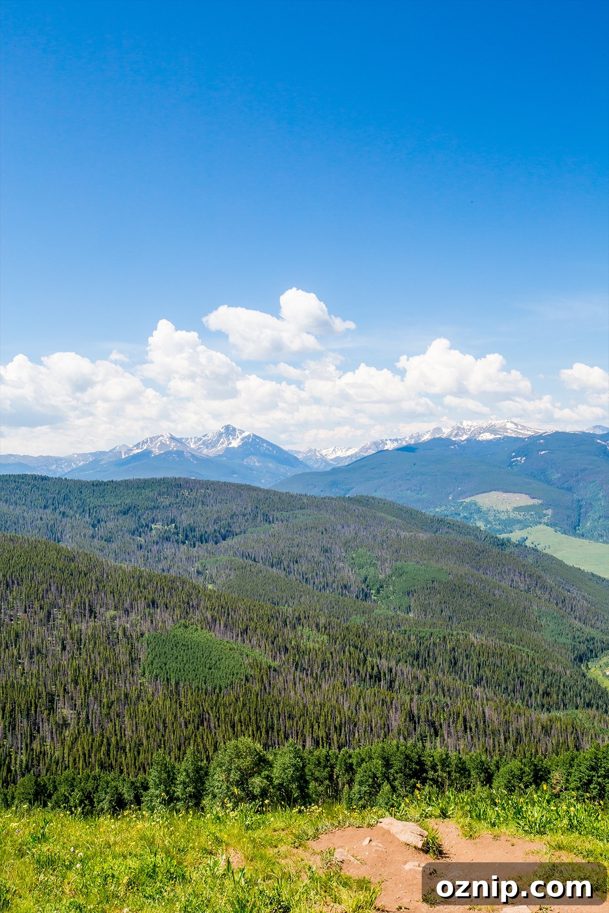 view of the mountains and wooded foreground