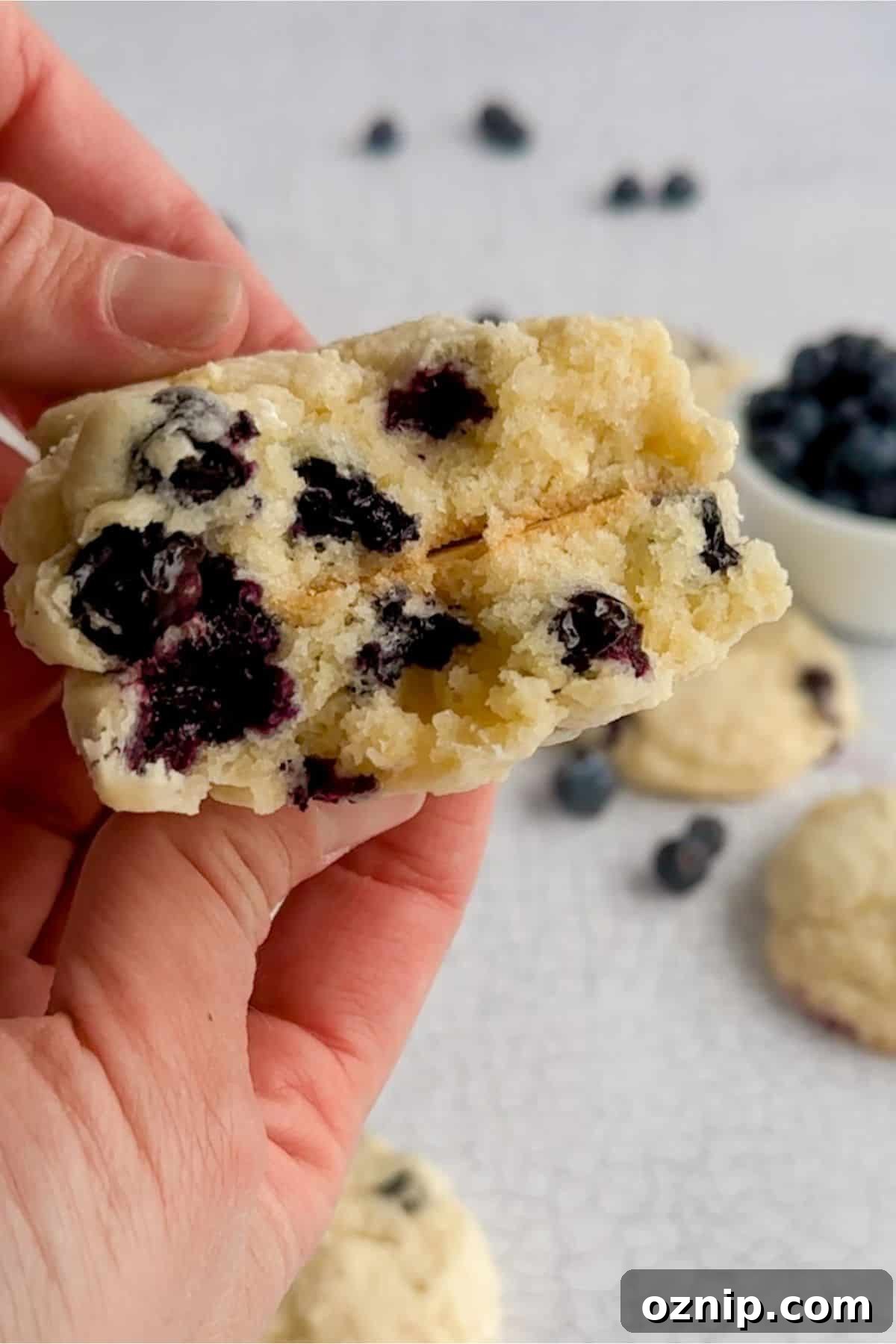 a lemon blueberry cookie broken in half.