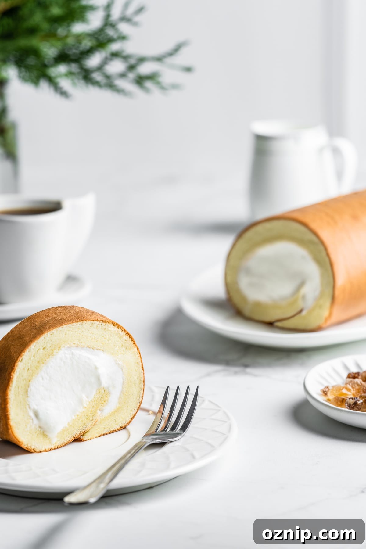 Dojima Roll: Japanese Sponge Cake Roll Recipe 6 Japanese roll cake with a slice on a dessert plate