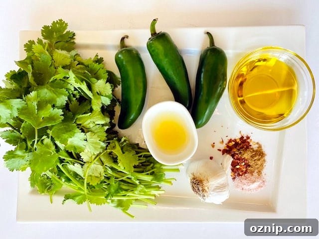 Zhoug-Cilantro-Jalapeno-Sauce-ingredients-on-plate