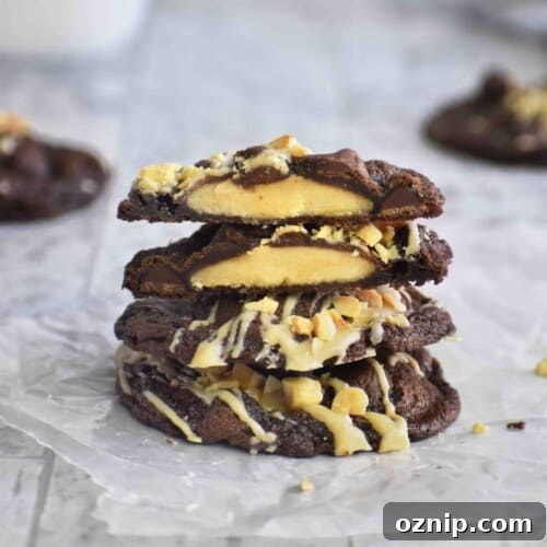 stack of peanut butter chocolate cookies