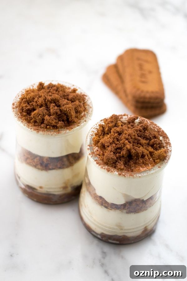 Biscoff Tiramisu Recipe with Speculoos Cookie Butter 3 speculoos tiramisu with biscoff biscuits