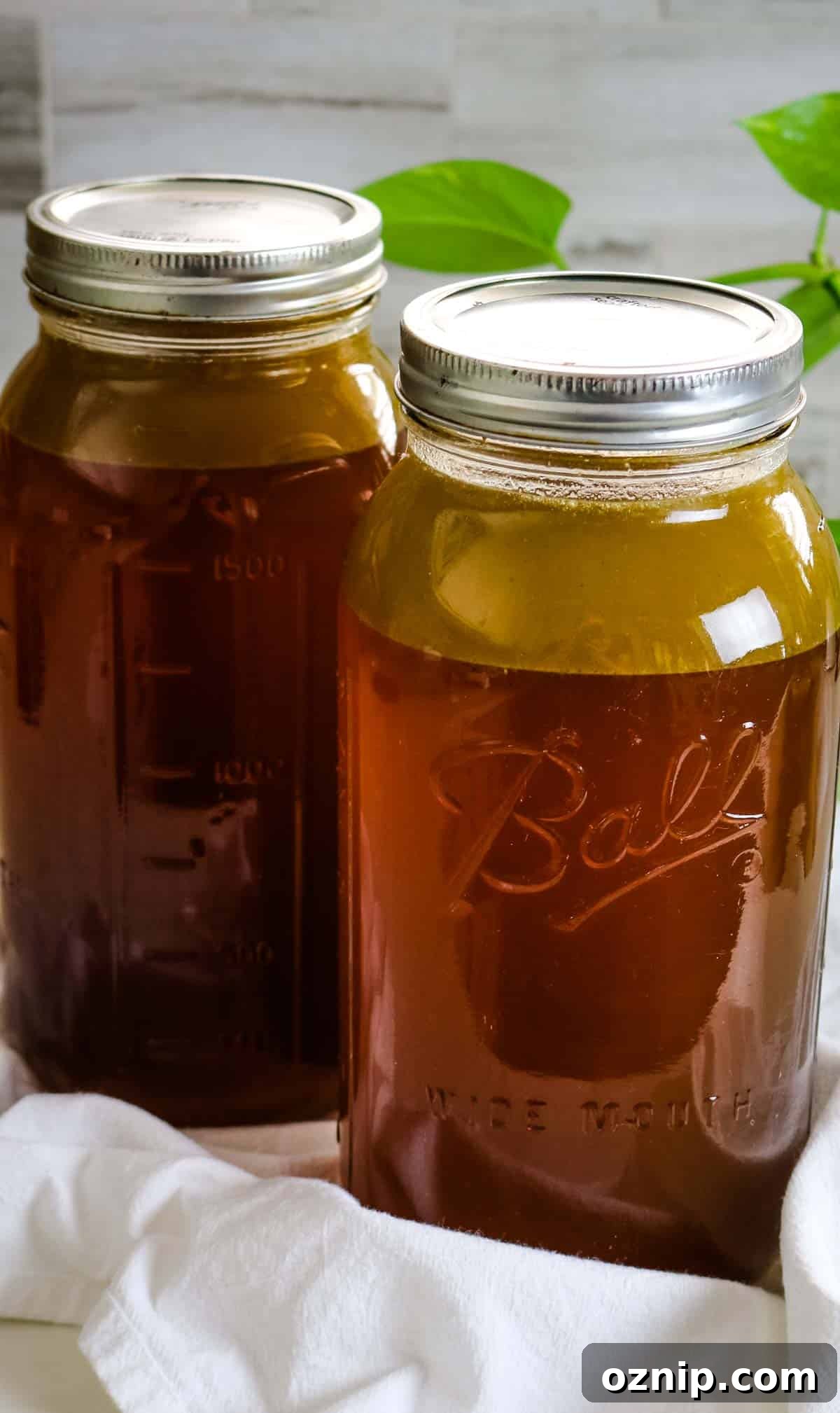 jarred beef bone broth