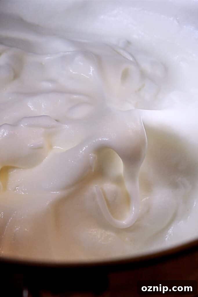 the fluffy yet elastic meringue in a mixing bowl