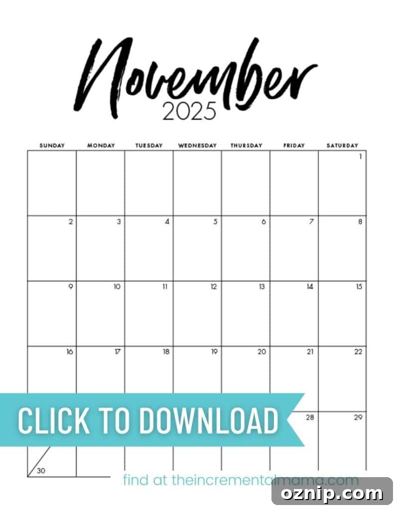 November preview