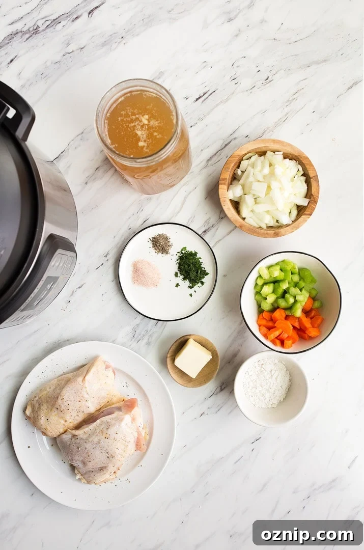 Instant Pot Chicken and Dumplings for Two in the Instant Pot Mini.