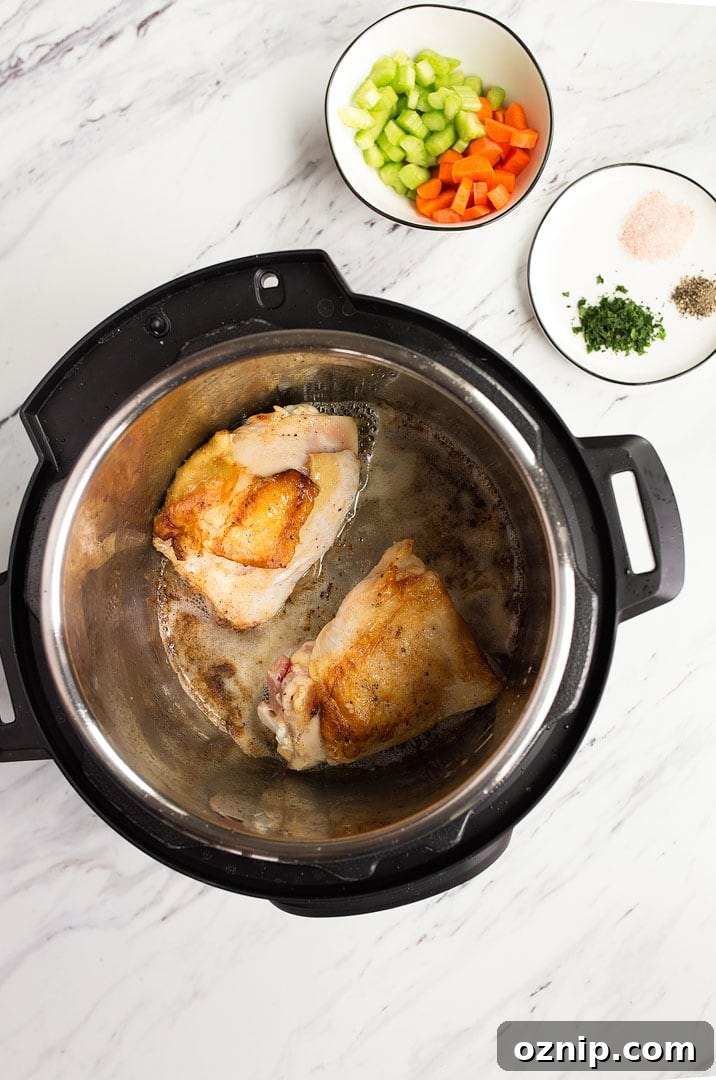Instant Pot Chicken and Dumplings for Two in the Instant Pot Mini.