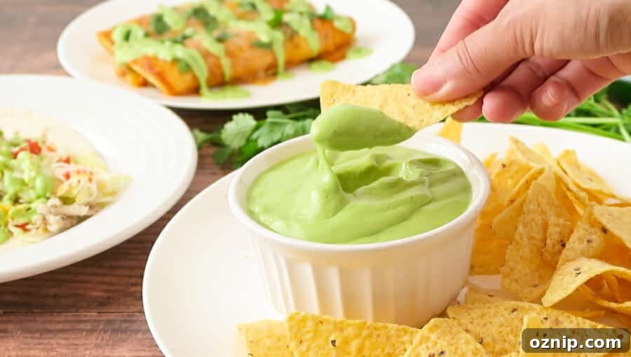 cream avocado dip with chips