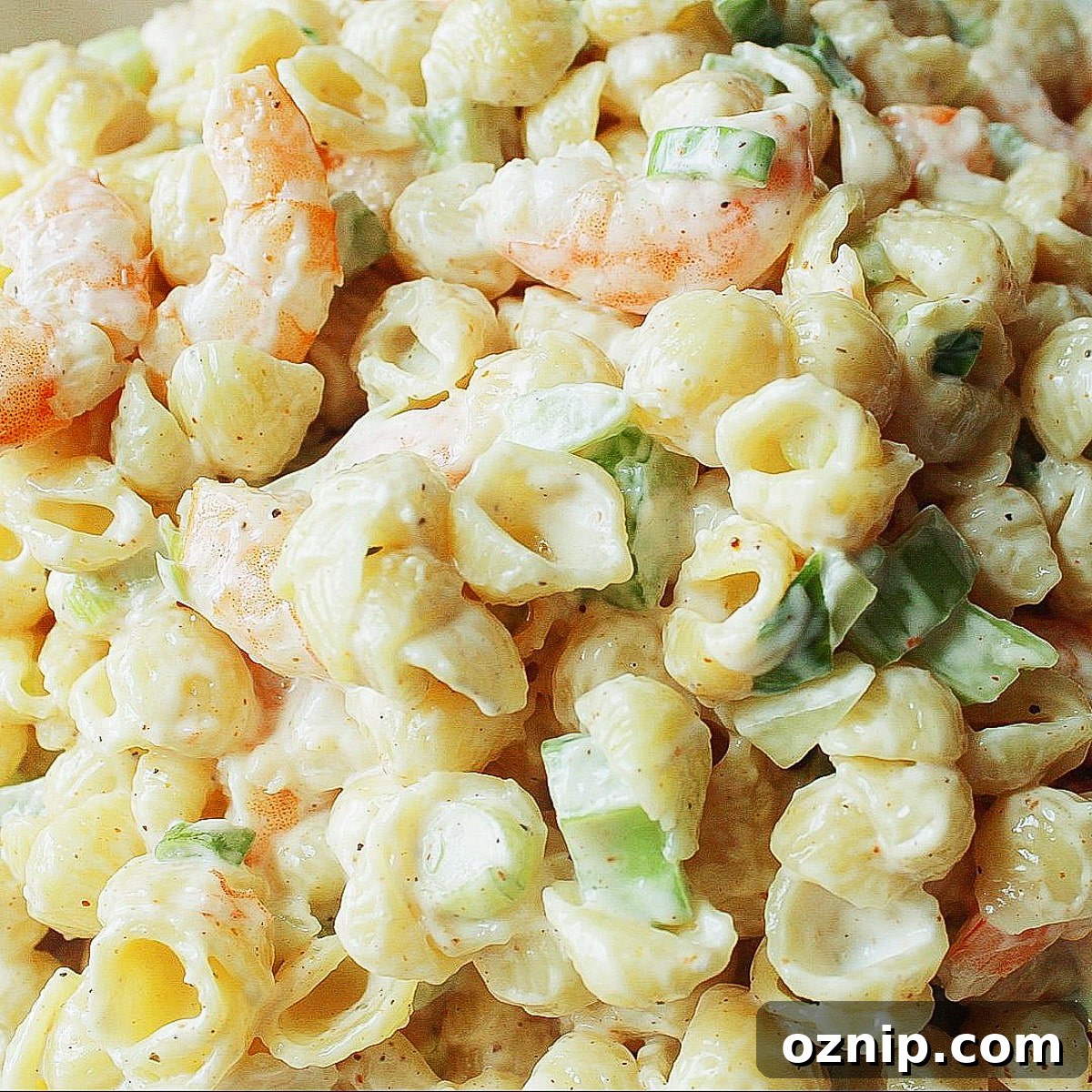 Closeup of shrimp macaroni salad