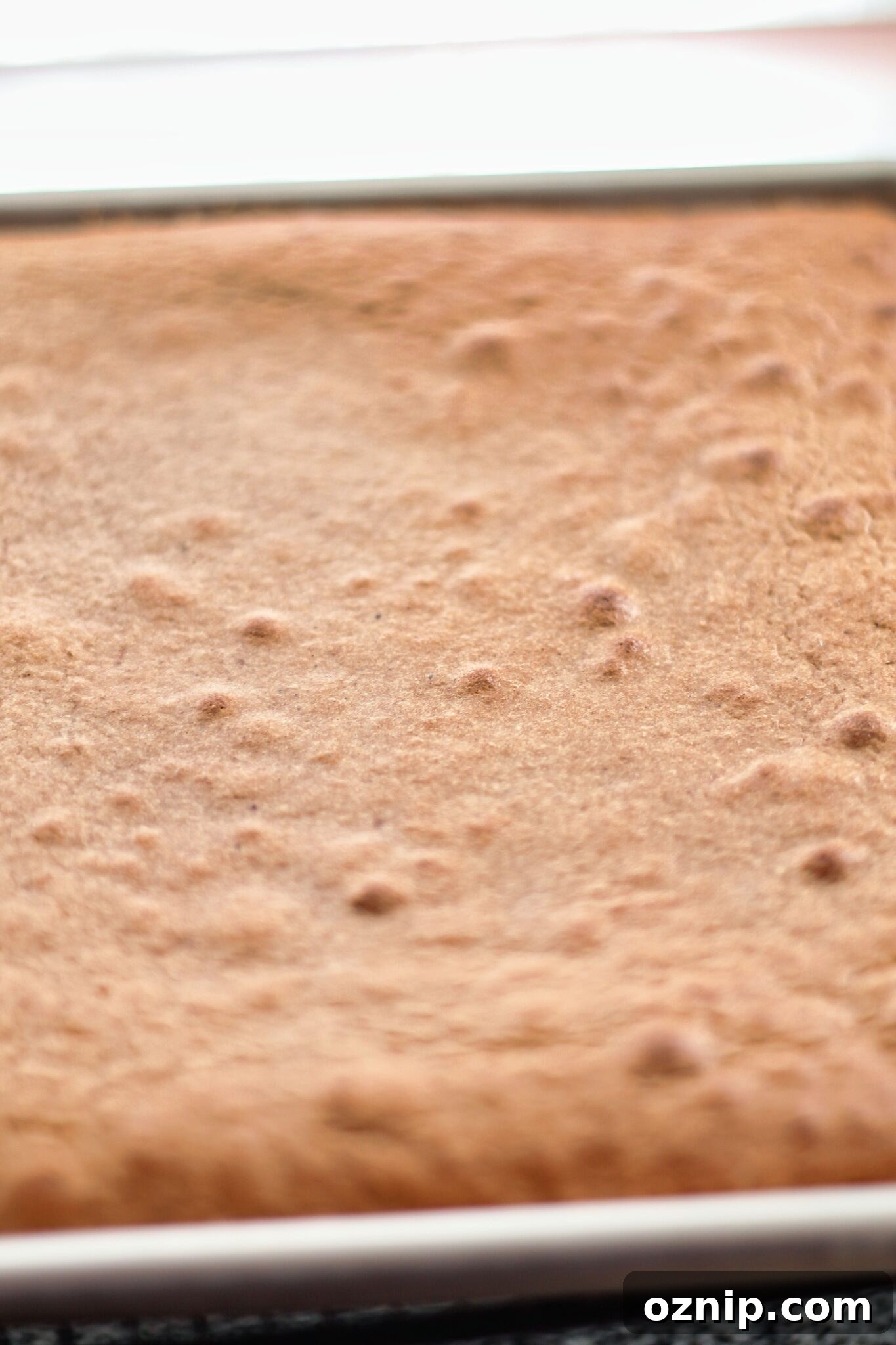 baked joconde cake
