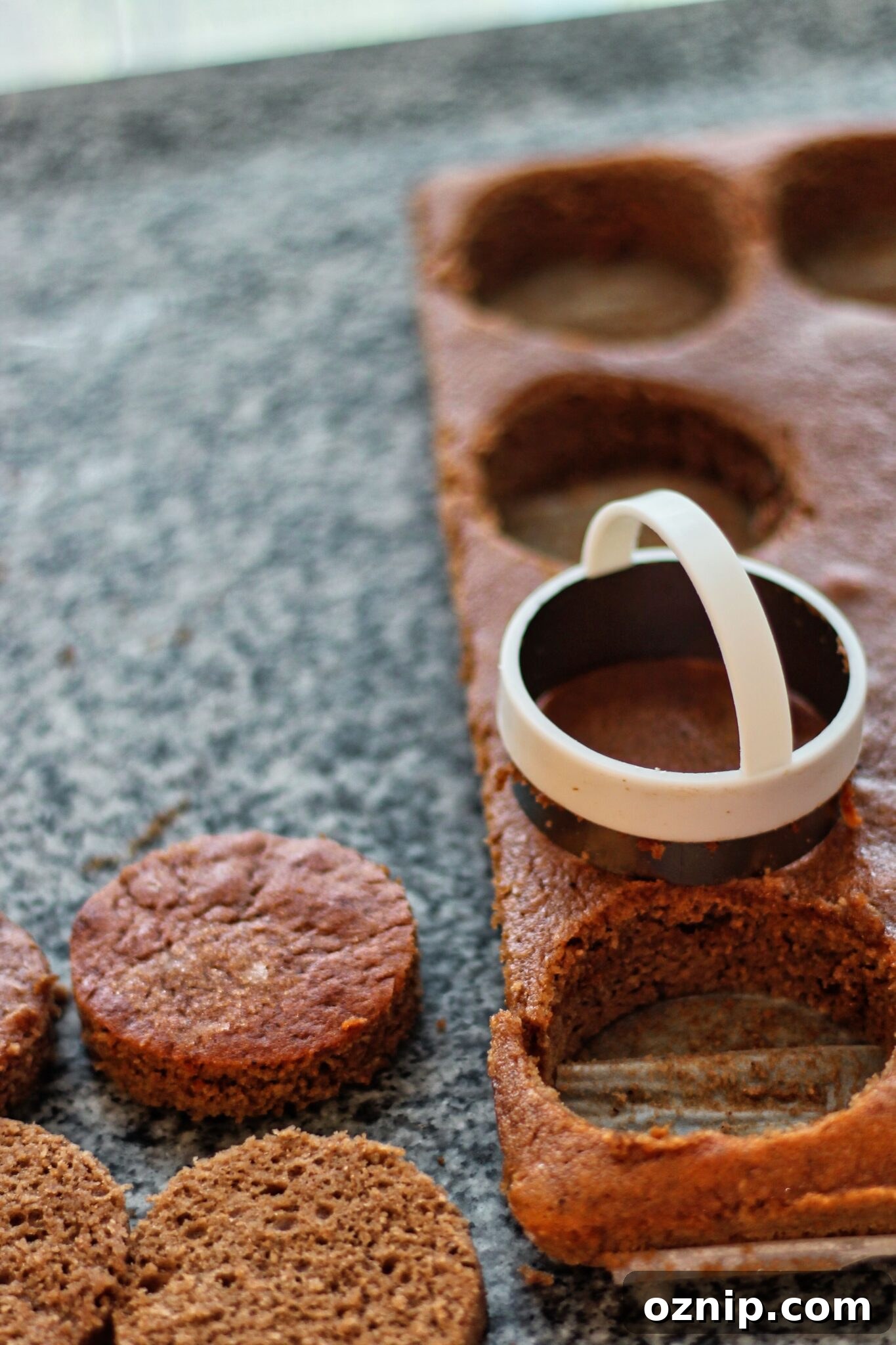 cutting rounds out of joconde cake