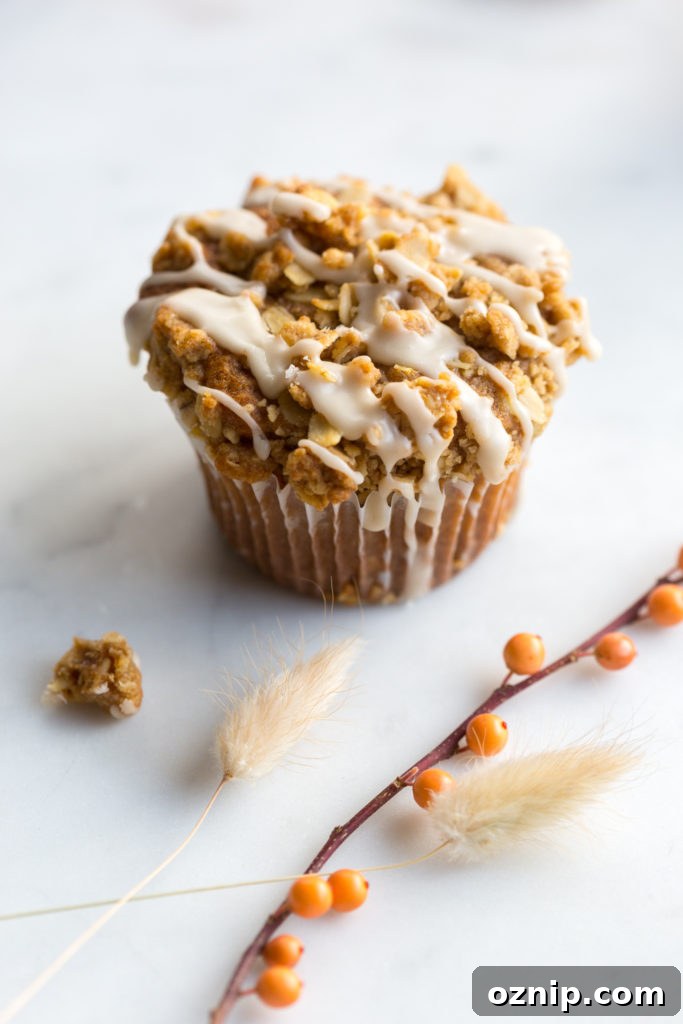 Apple Cider Oat Streusel Muffin