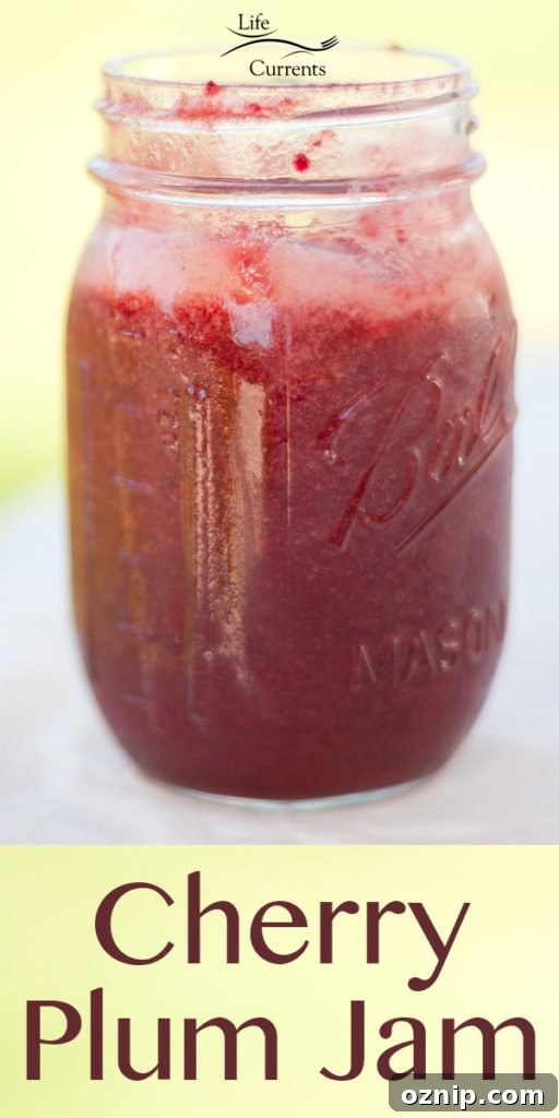 Preserving Summer with Cherry Plum Jam