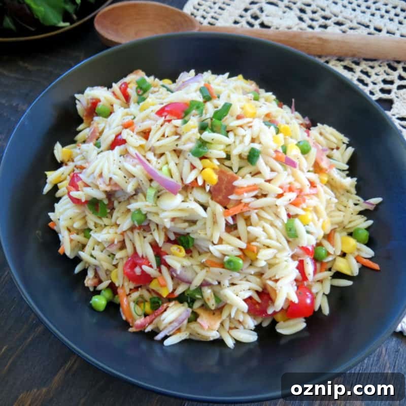 30+ Side Dishes for Soup to Complete Your Meal 19 Orzo Pasta Salad on a blue plate next to a wooden spoon