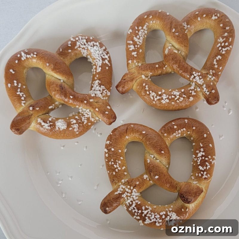30+ Side Dishes for Soup to Complete Your Meal 20 Air fried pretzels with salt on a white plate