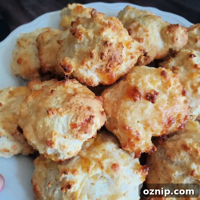 30+ Side Dishes for Soup to Complete Your Meal 5 Cheddar Bay Biscuits stacked on a white plate