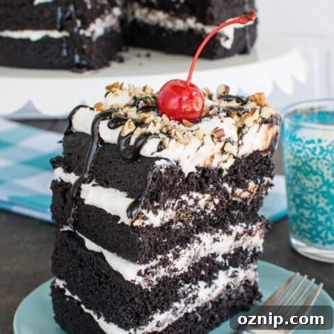Dark Chocolate Layer Cake