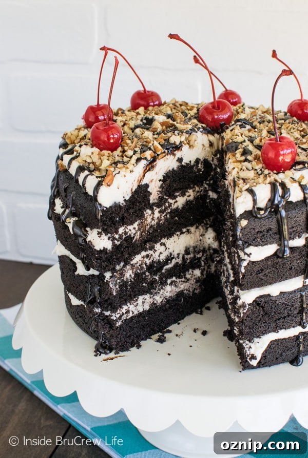 This rich Dark Chocolate Layer Cake is perfect for celebrating any life event! Great dessert recipe!