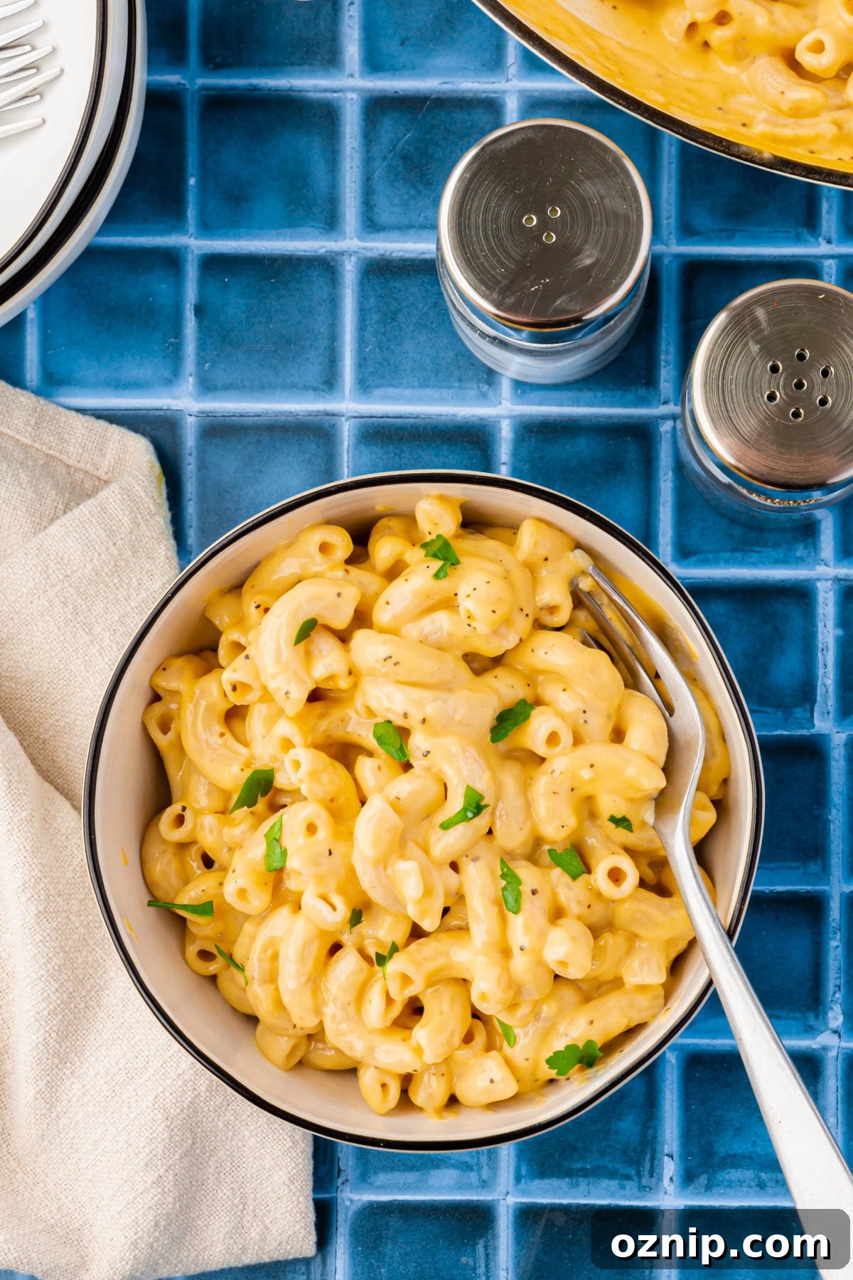 Creamy Gluten Free Mac and Cheese Recipe 12 A bowl of gluten-free mac and cheese topped with fresh parsley.