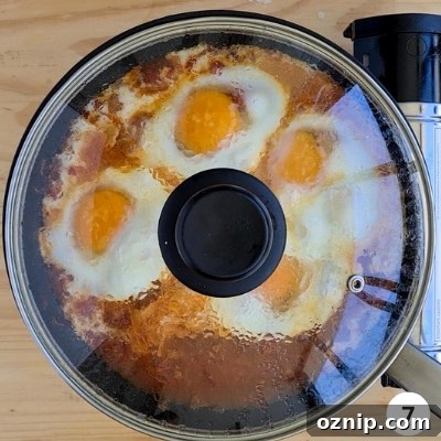 Feta Shakshuka Recipe with Poached Eggs 10 Lid placed onto pan for slow simmering