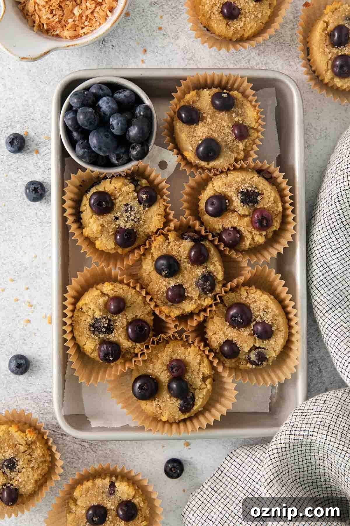 Coconut Flour Blueberry Muffins Coconut flour blueberry muffins in a baking dish.
