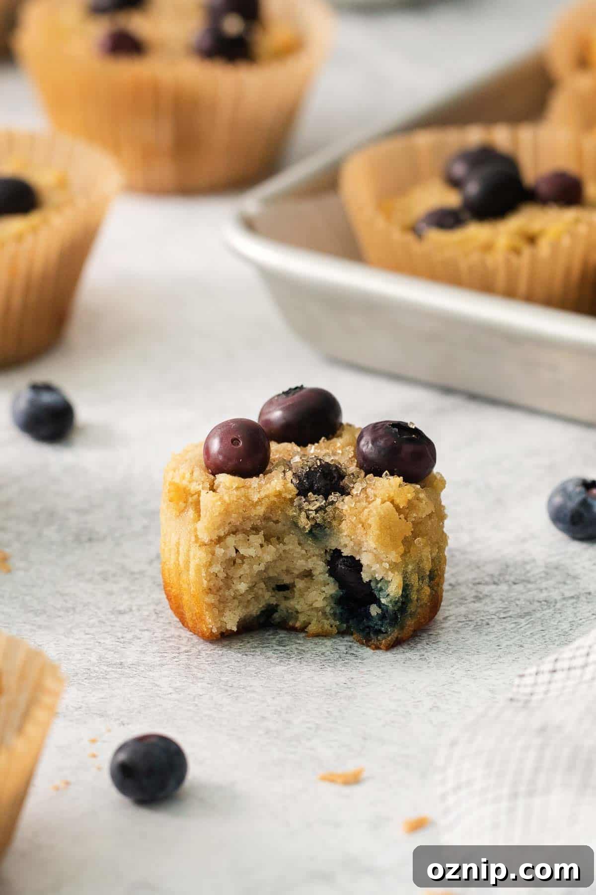 Moist Coconut Flour Blueberry Muffins 5 A close-up photo of a blueberry muffin with a bite taken out of it.