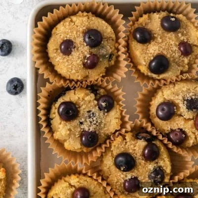 Moist Coconut Flour Blueberry Muffins 6 A close-up photo of coconut flour blueberry muffins in a baking dish