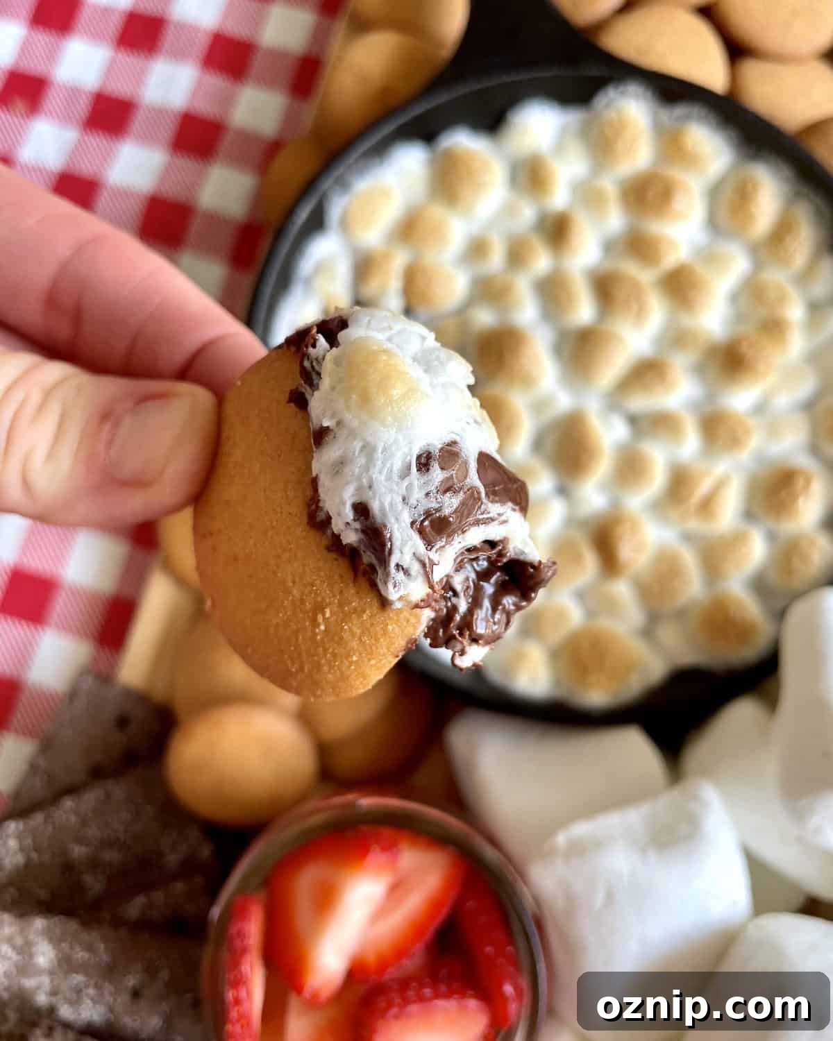 Grilled S'mores Dip by The BakerMama