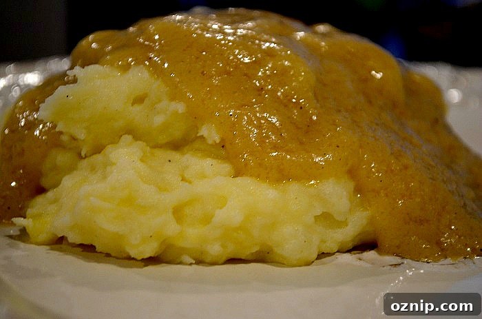 Mashed Potatoes & Gravy