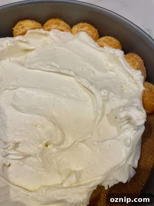 Biscuit base