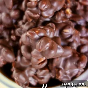 bowl of chocolate covered peanuts mr goodbar bites