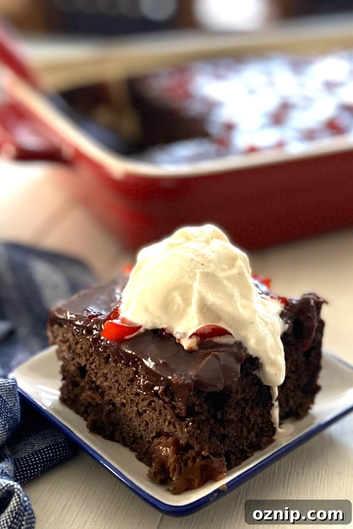 Chocolate cherry cake with ice cream.