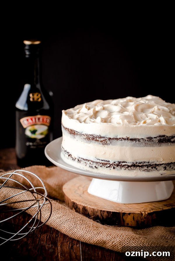 Guinness Stout Cake with Baileys Cream Cheese Frosting 2 Guinness Stout Cake with Bailey's Cream Cheese Frosting