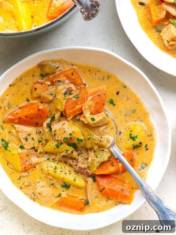 serving of leftover turkey stew with potatoes, carrots, celery and bacon