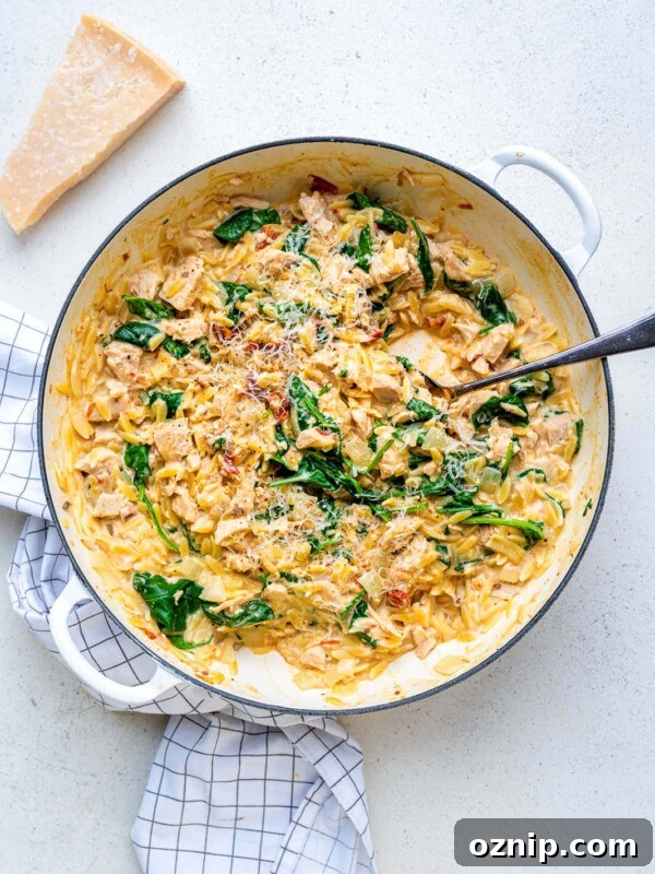 One-pot creamy orzo with turkey