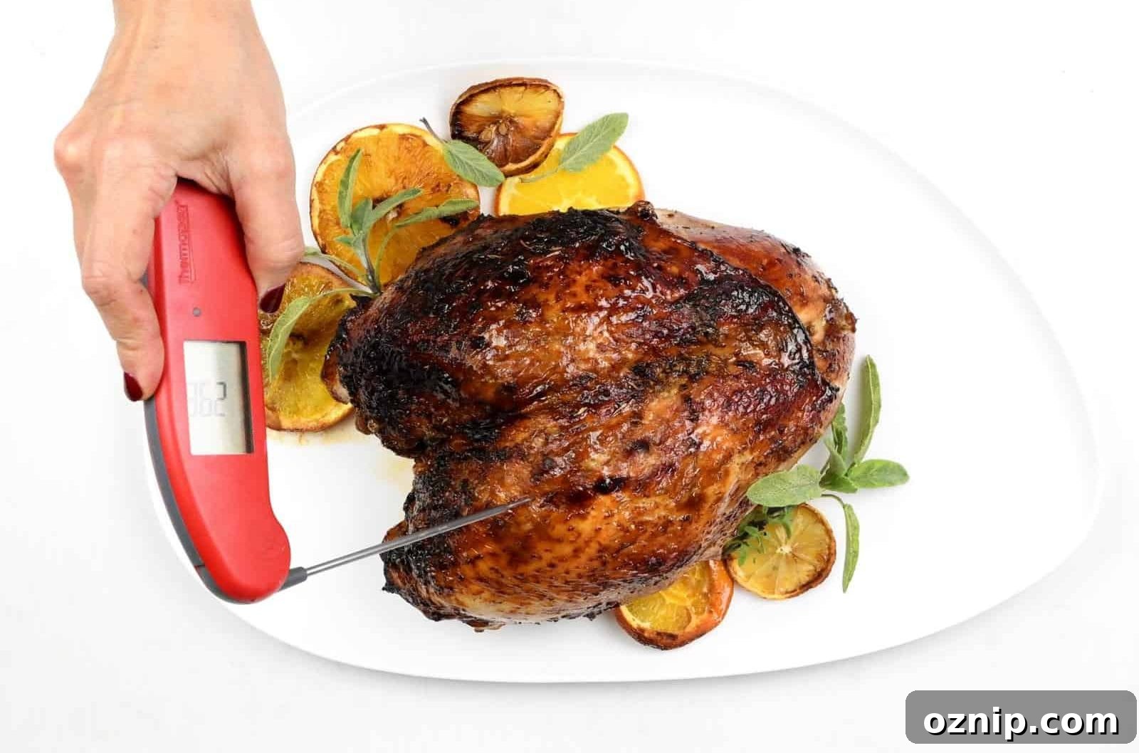 How to Roast a Turkey Crown: Step-by-Step Cooking Guide 5 Checking temperature of roast turkey crown